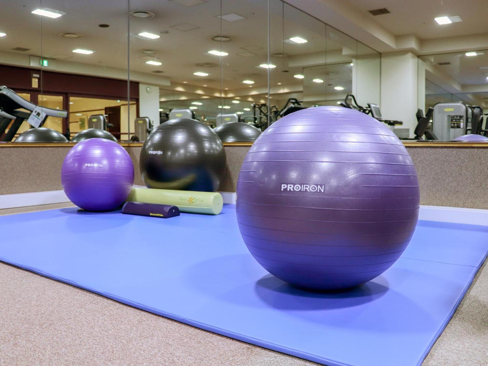 Premier Hotel -Tsubaki- Сапоро Екстериор снимка Swiss exercise ball